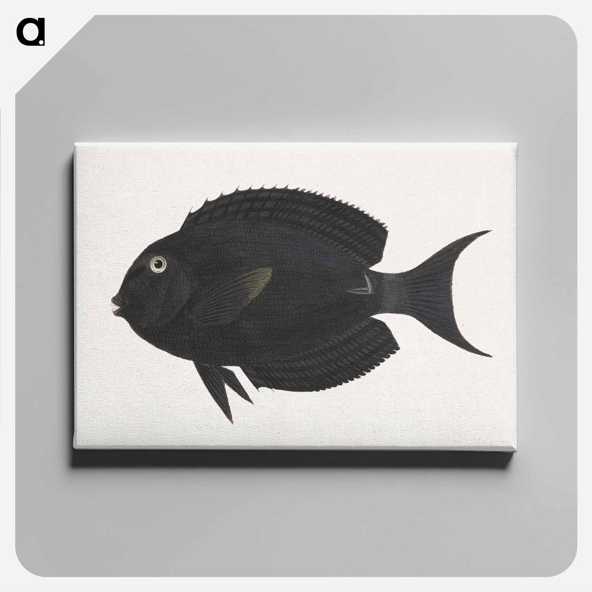 アートパネル-Unidentified Fish
- ルイージ バルガーニ Canvas.
