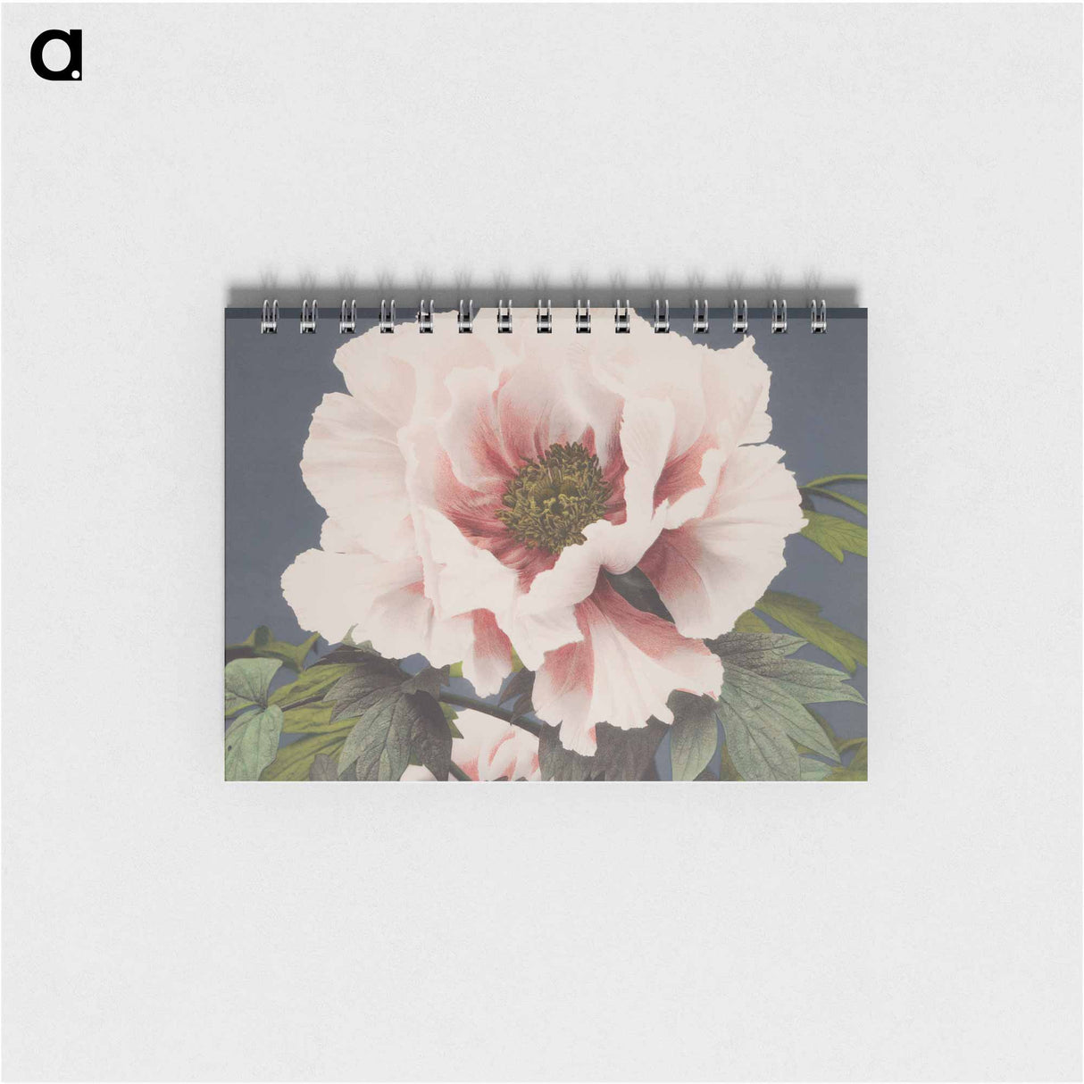 アートメモ帳-Beautiful photomechanical prints by Ogawa Kazumasa. - 小川 一正 Memo.