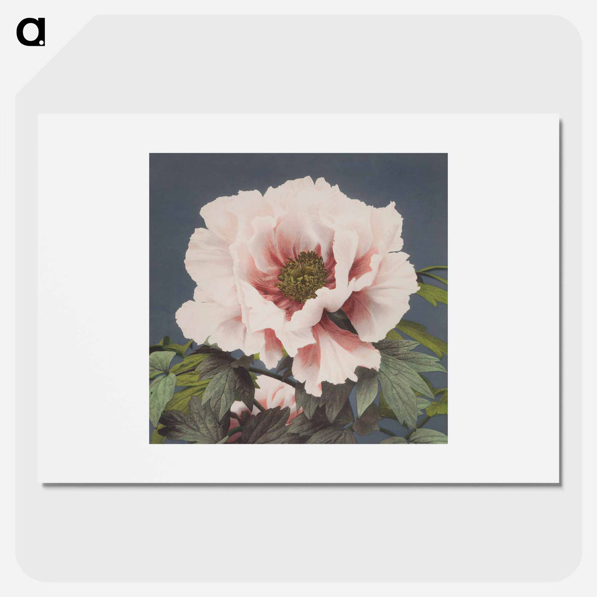 アートポスター-Beautiful photomechanical prints by Ogawa Kazumasa. - 小川 一正 Poster.