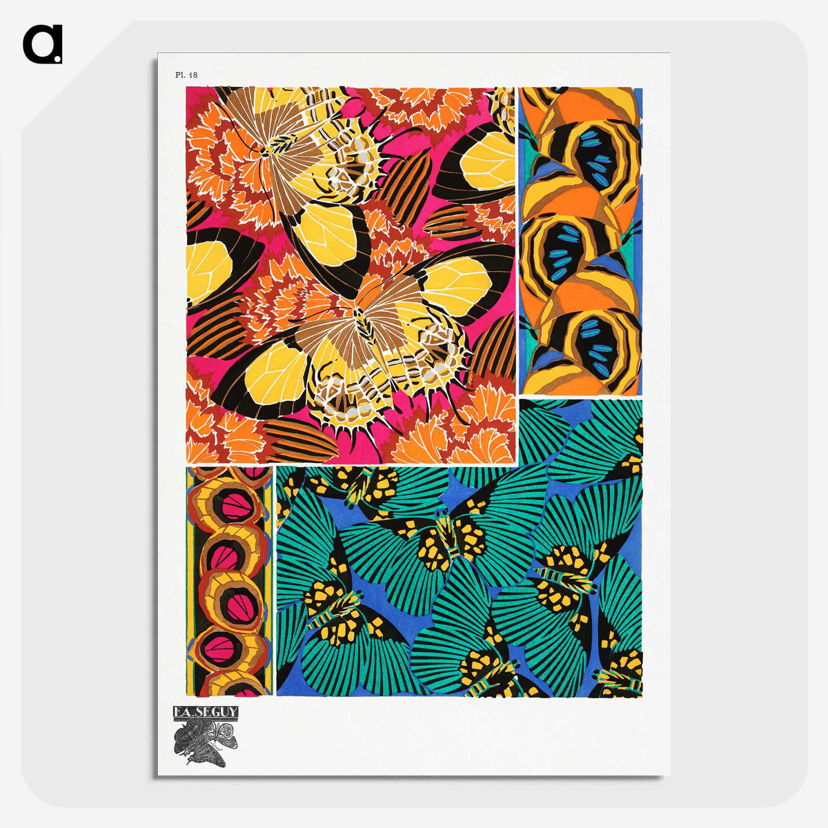 1-2_Papillons_picture-crop