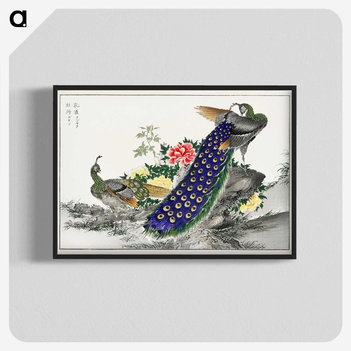 1-2_Pictorial-Monograph-of-Birds_blk-crop