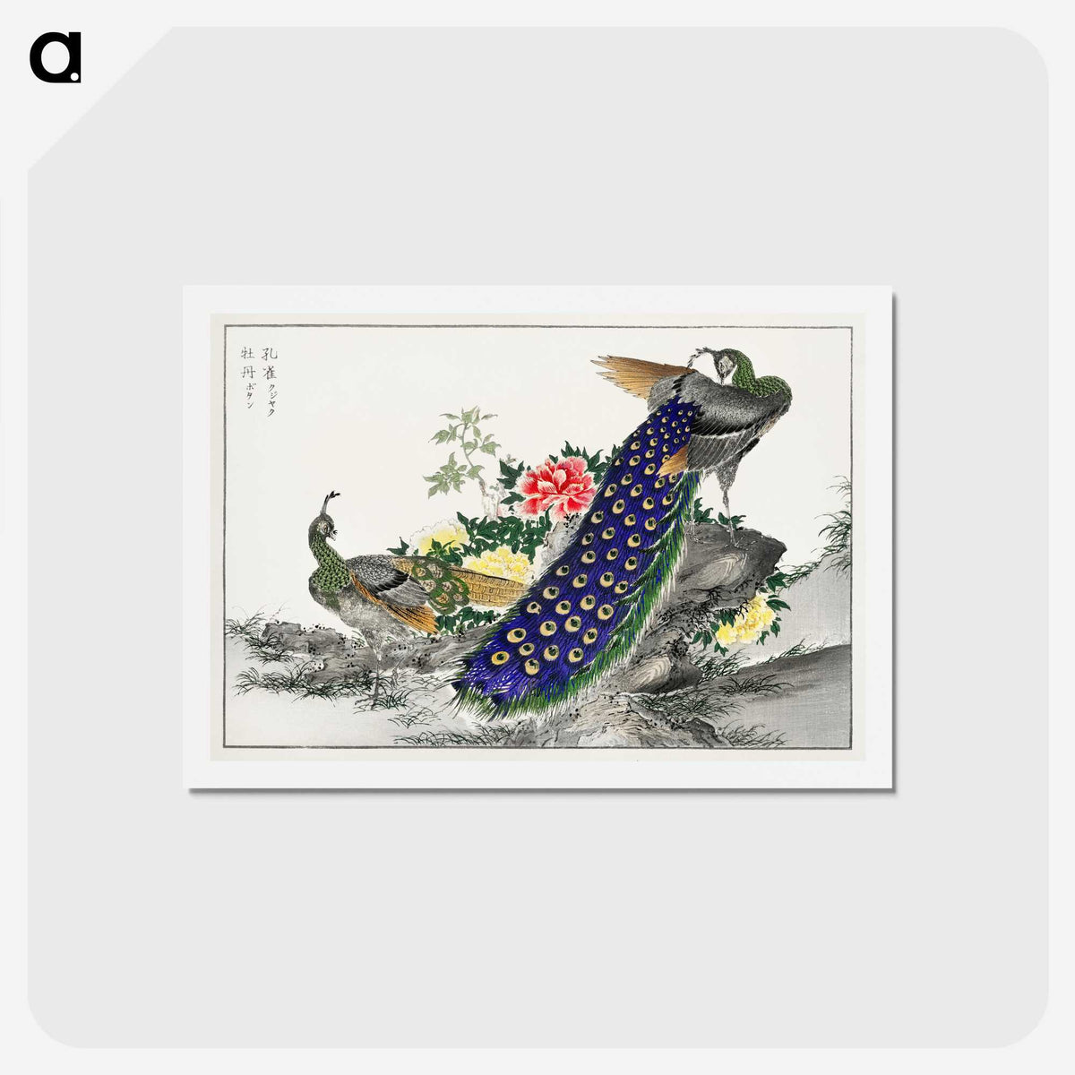 1-2_Pictorial-Monograph-of-Birds_hagaki