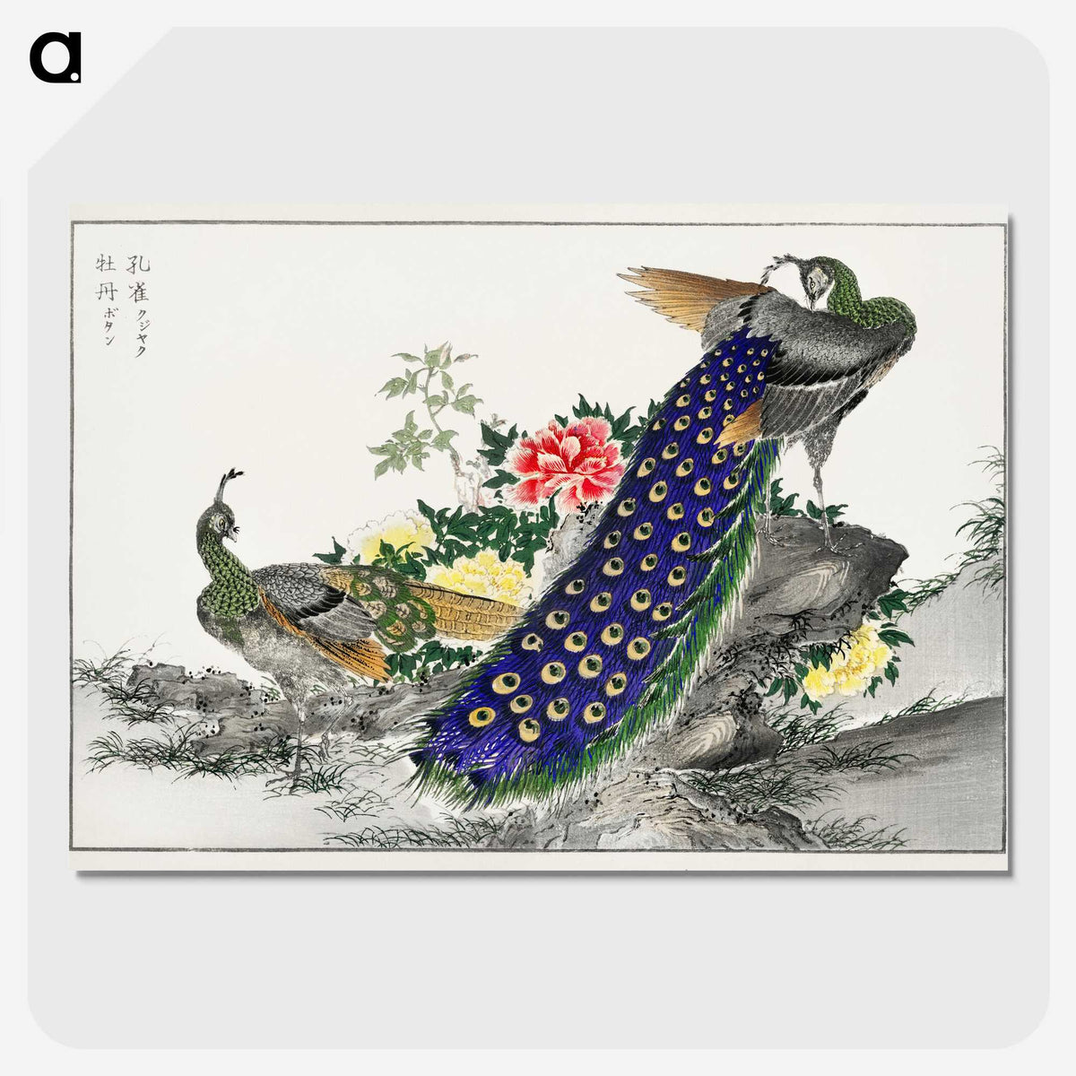 1-2_Pictorial-Monograph-of-Birds_picture-crop