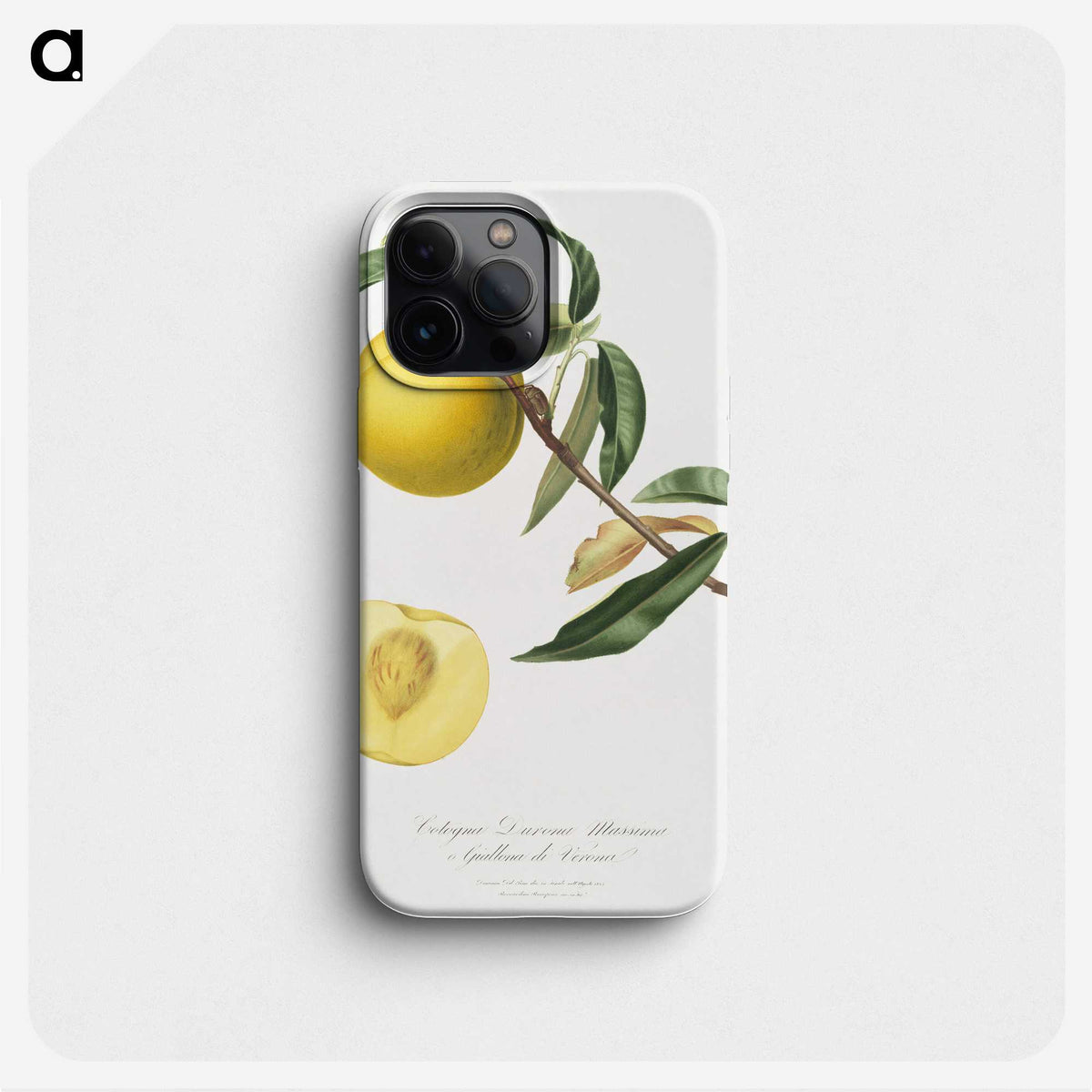 1-2_Pomona-Italiana_phone