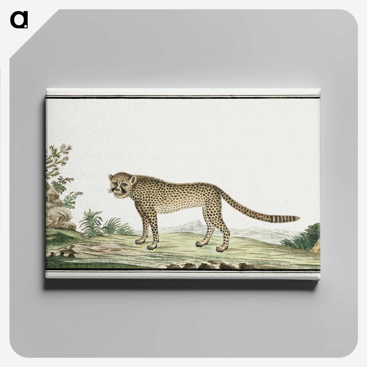 1-2_Robert-Jacob-Gordon_canvas