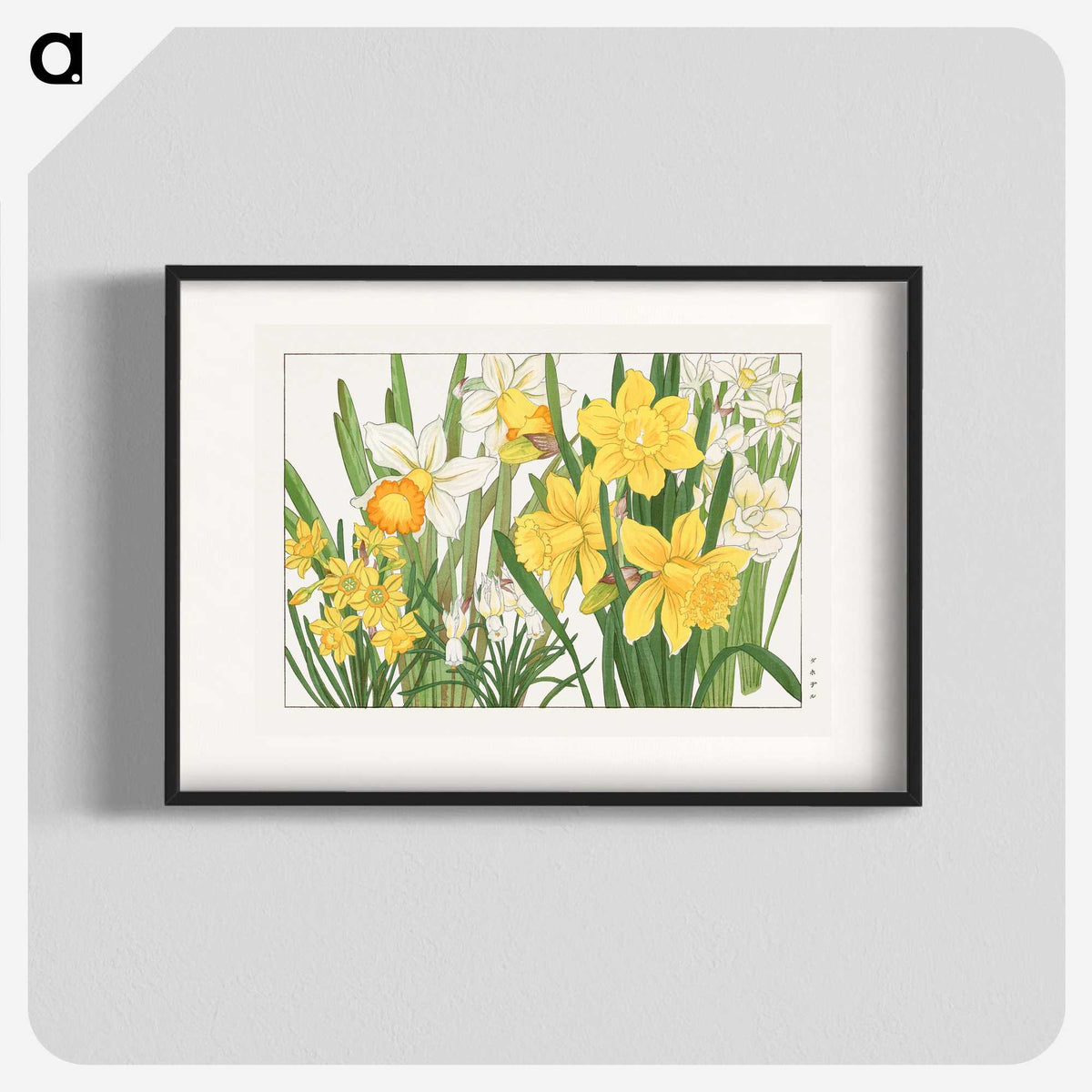 1-2_Seiyo-Soka-Zufu_blk