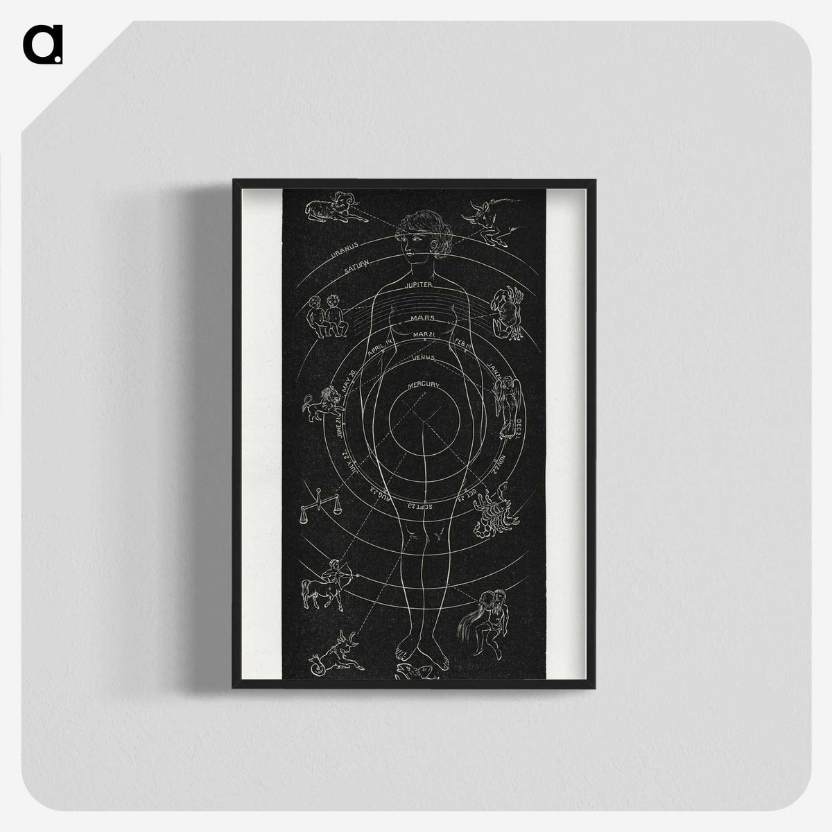 1-2_Solar-Biology_blk-crop
