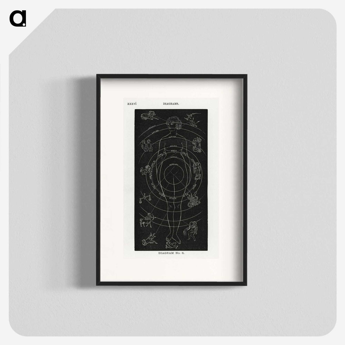 1-2_Solar-Biology_blk
