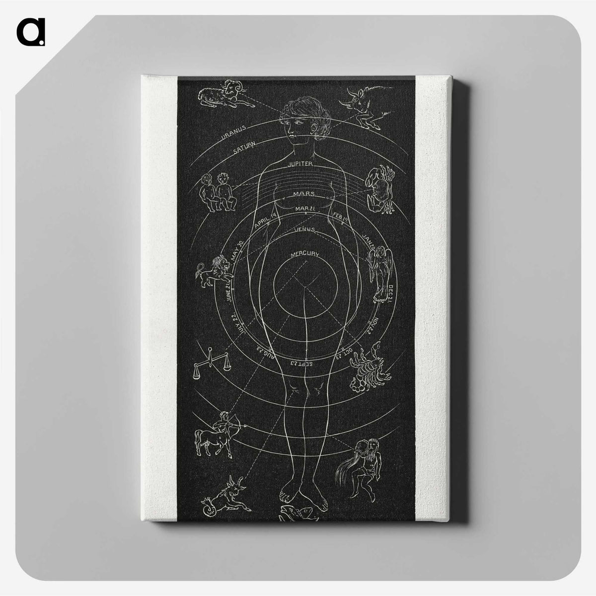 1-2_Solar-Biology_canvas