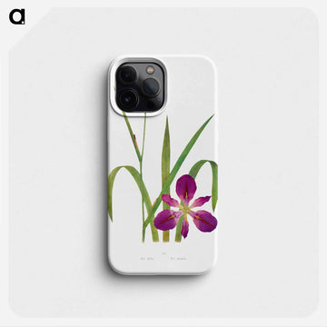 Iris Fulva and Iris Fulvala from The genus Iris
 - アヤメ属 Phone Case.