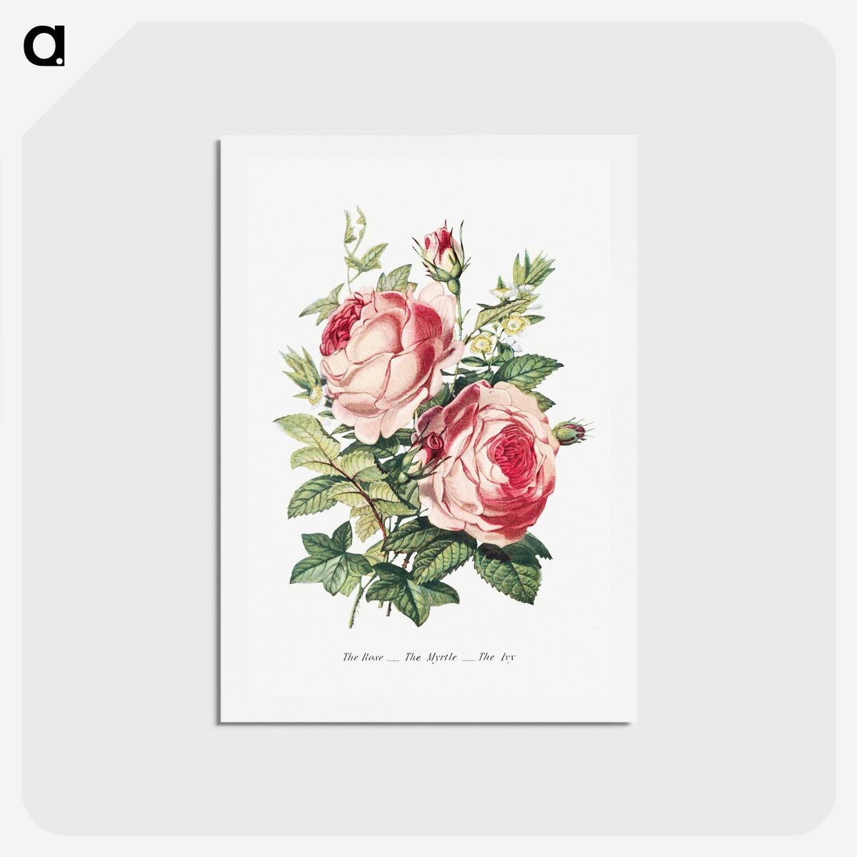 1-2_The-Language-of-Flowers_hagaki