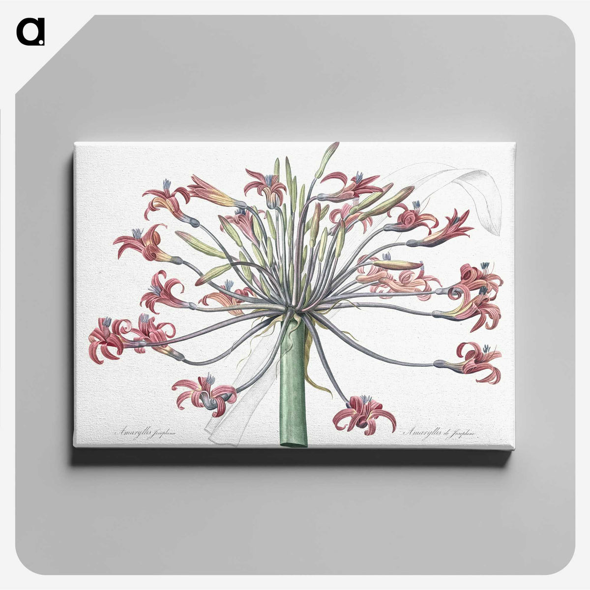 1-2_The-Lilies_canvas