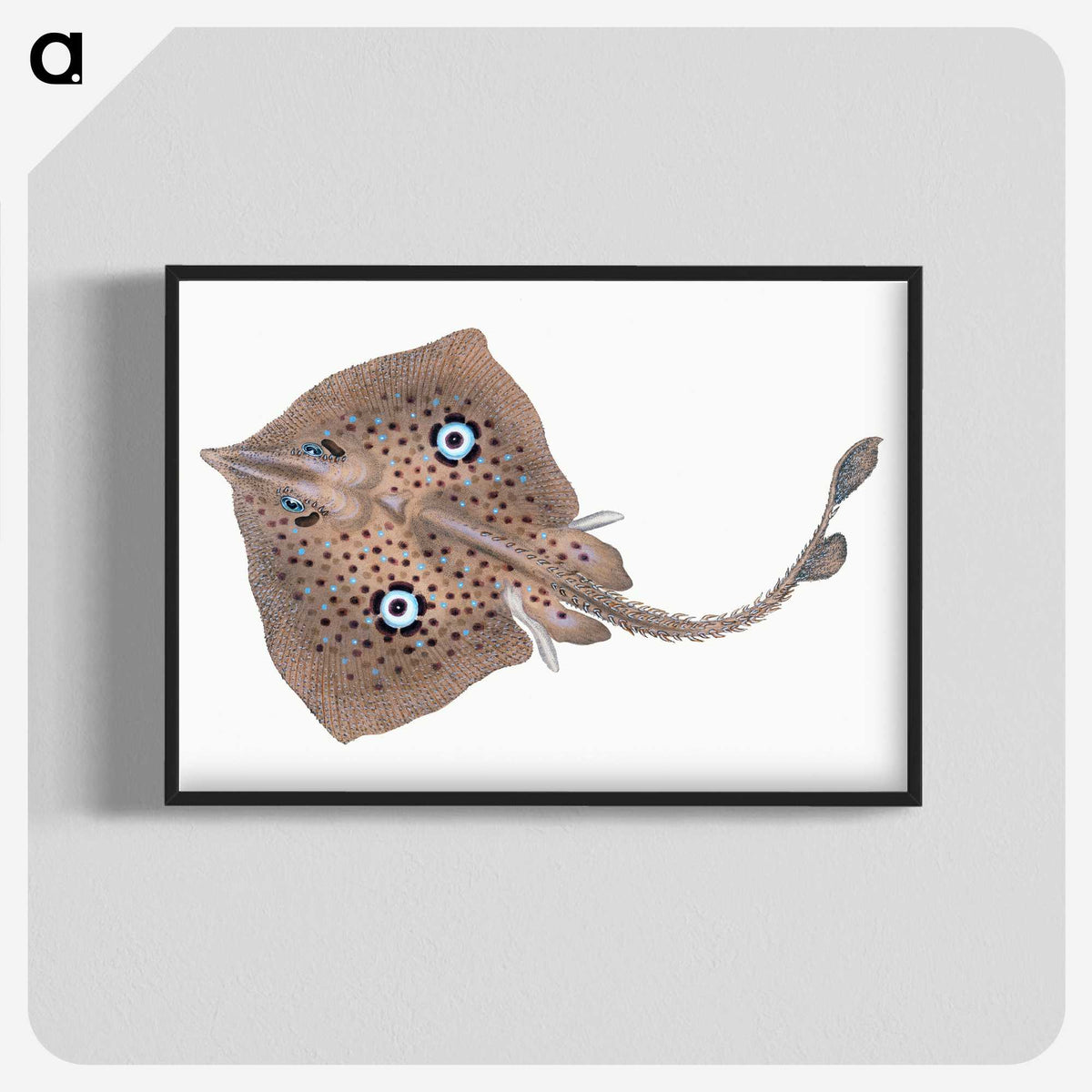 1-2_The-Natural-History-of-British-Fishes_blk-crop