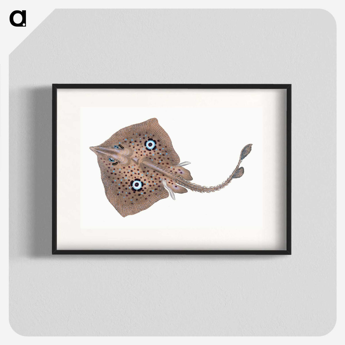 1-2_The-Natural-History-of-British-Fishes_blk