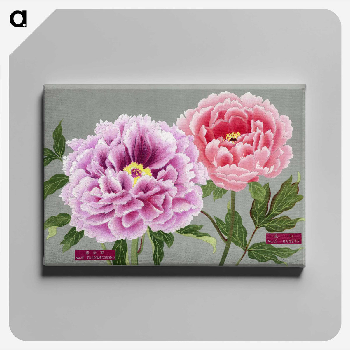 1-2_The-Picture-Book-of-Peonies_canvas