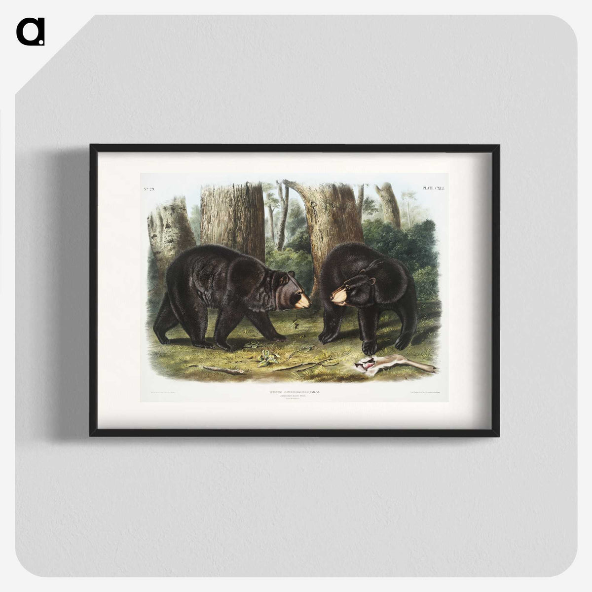 1-2_The-Viviparous-Quadrupeds_blk