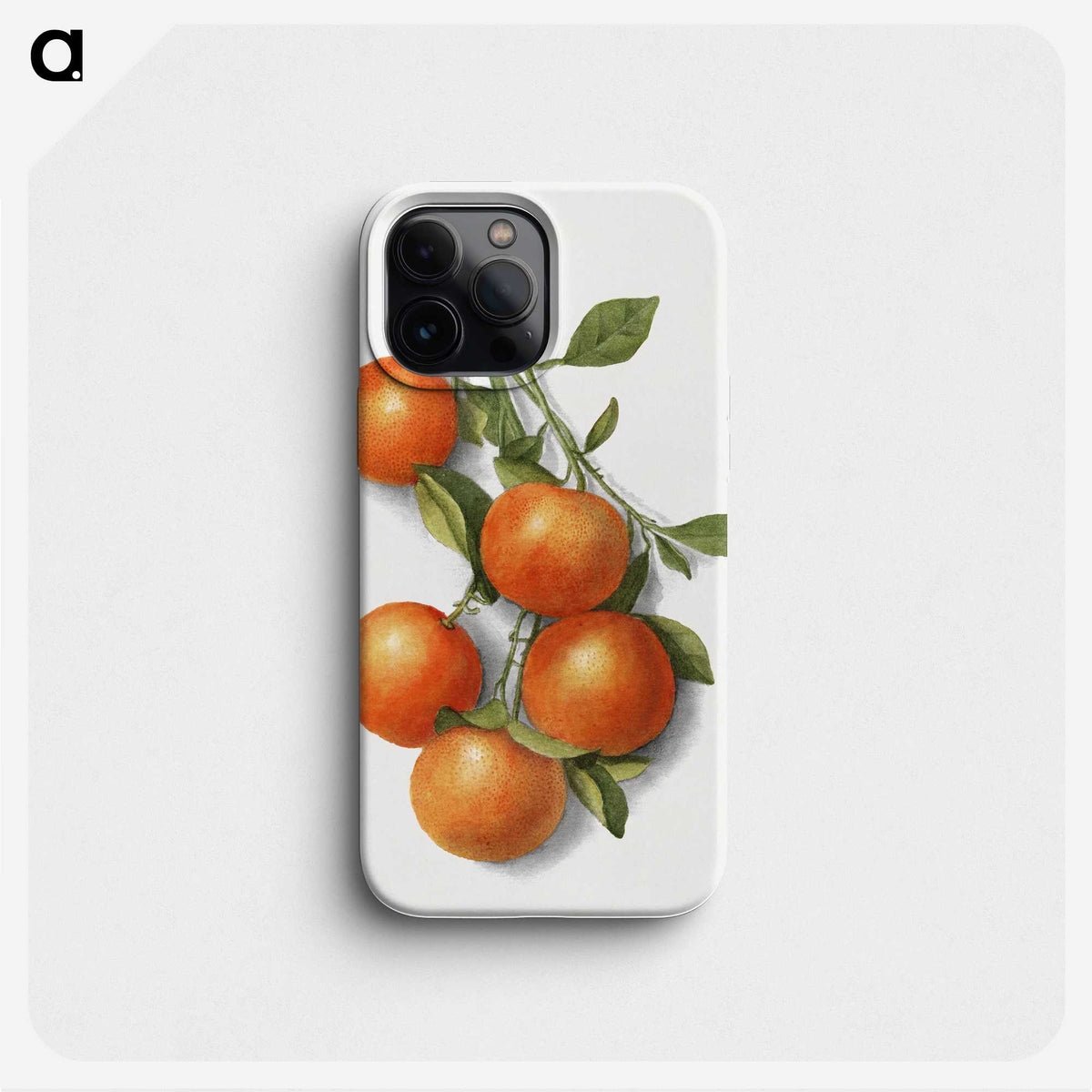 1-2_USDA-Watercolor-Fruit-Painting-Collection_phone