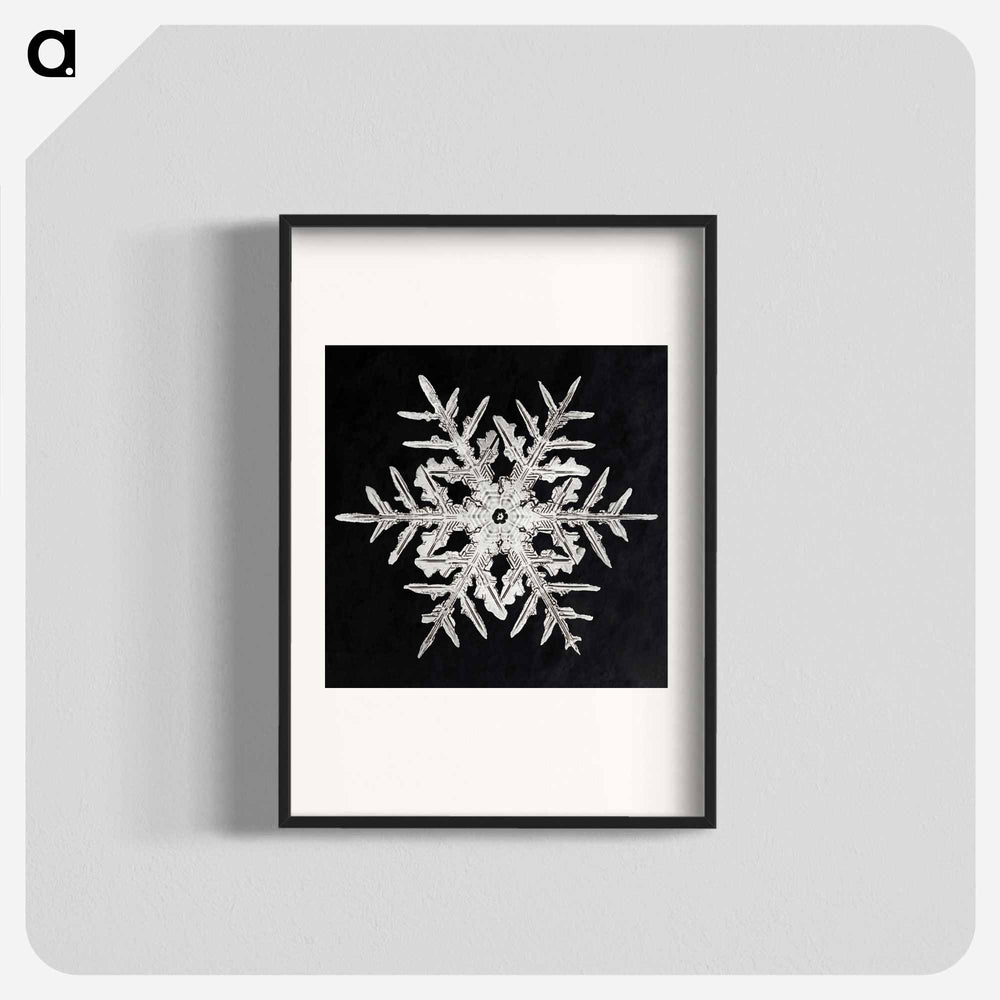 Wilson Bentley's Snowflake 332 - Wilson Bentley Poster.