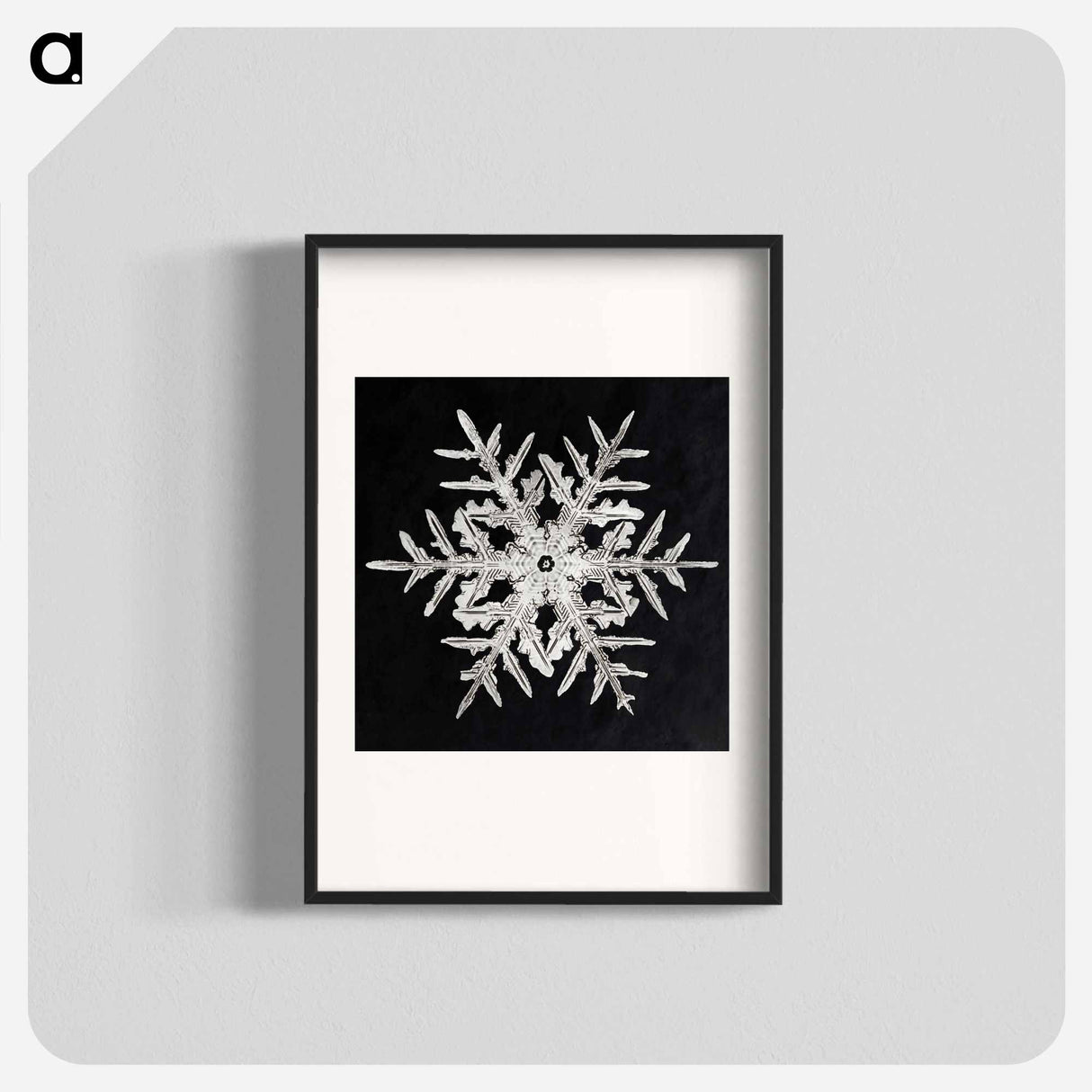 Wilson Bentley's Snowflake 332 - Wilson Bentley Poster.