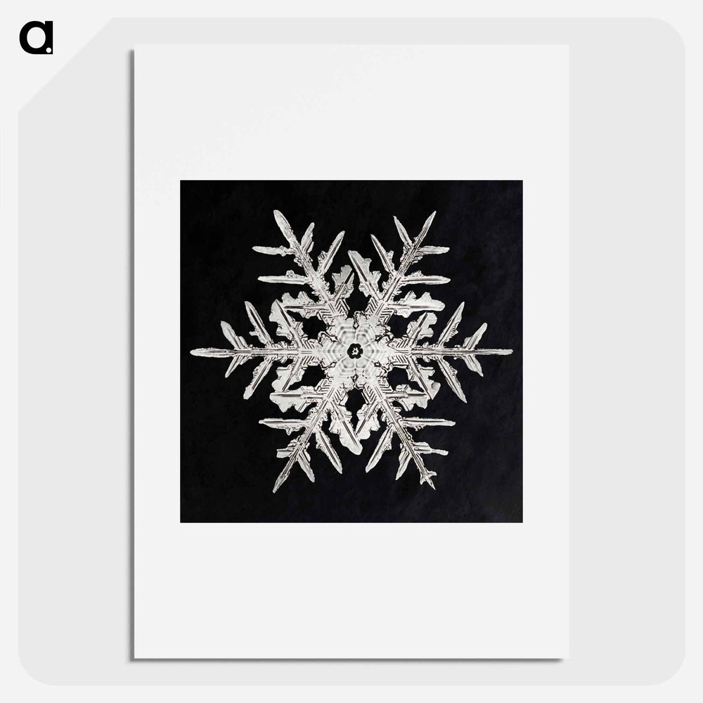 Wilson Bentley's Snowflake 332 - Wilson Bentley Poster.