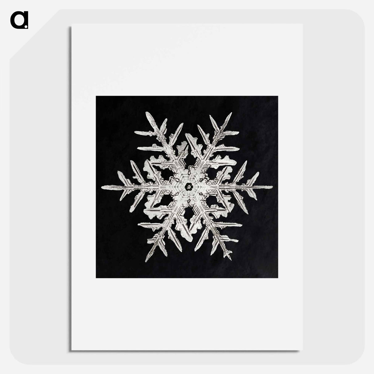 Wilson Bentley's Snowflake 332 - Wilson Bentley Poster.
