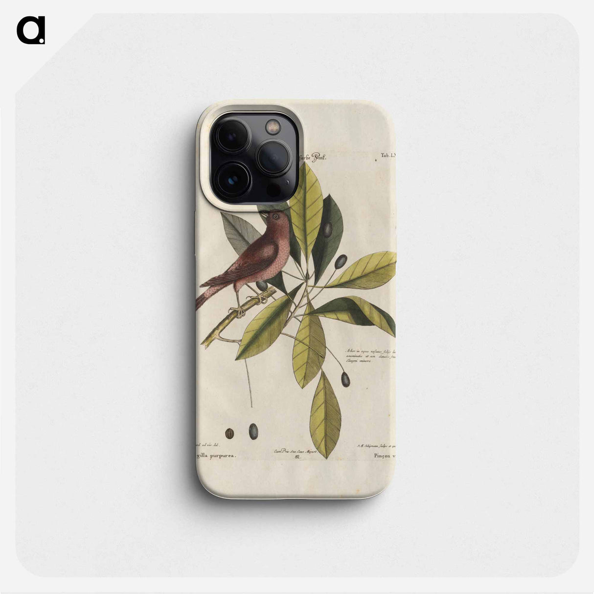 Bird and plants illustration - イー ララ Phone Case.