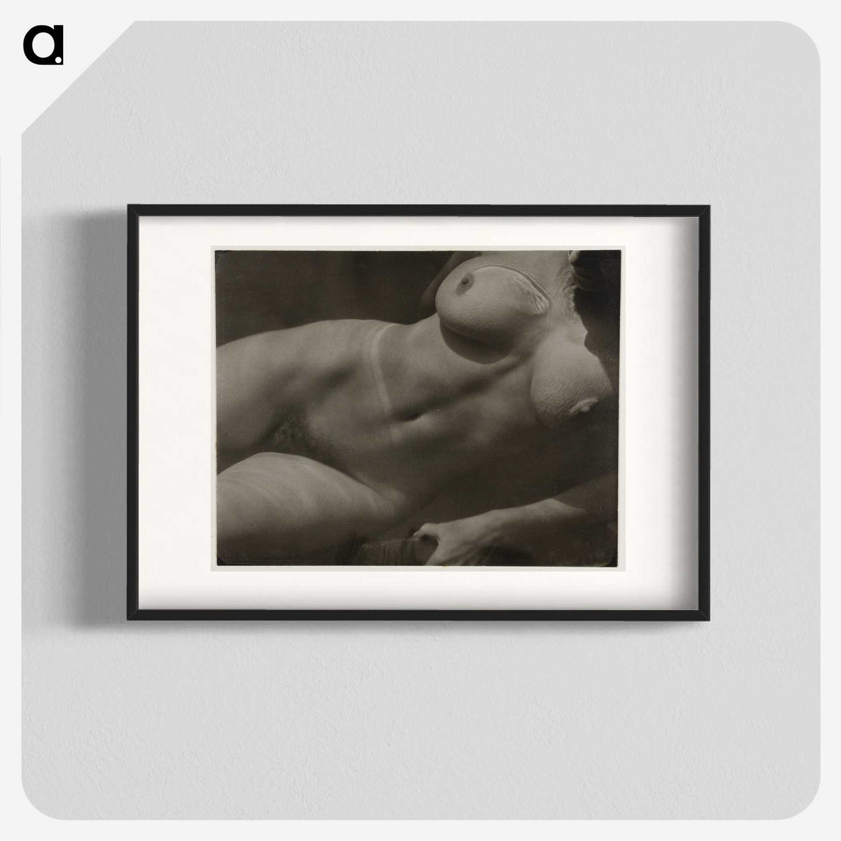 1-30_Alfred-Stieglitz_blk