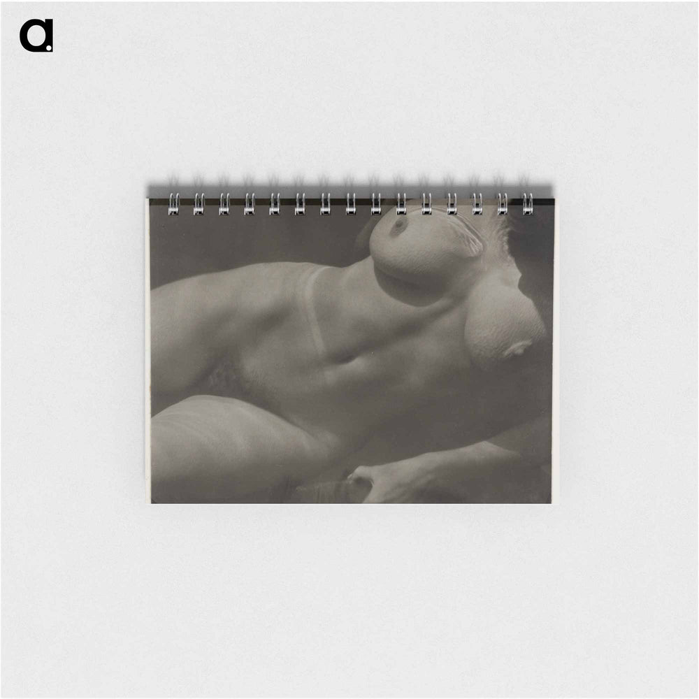 Rebecca Salsbury Strand - アルフレッド スティーグリッツ Memo.