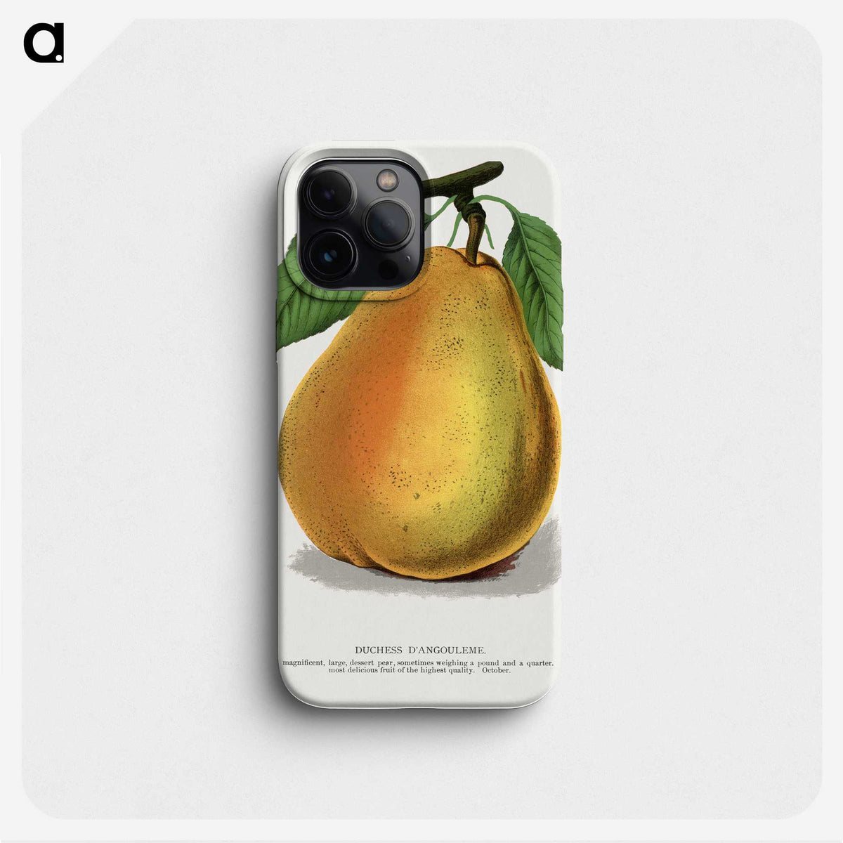 1-30_Botanical-Specimen-Plates_phone