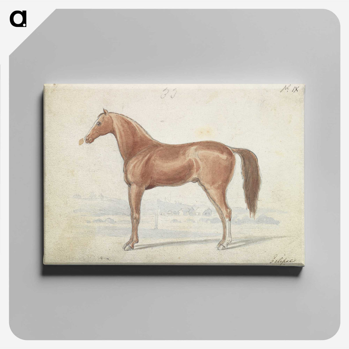1-30_Charles-Hamilton-Smith_canvas