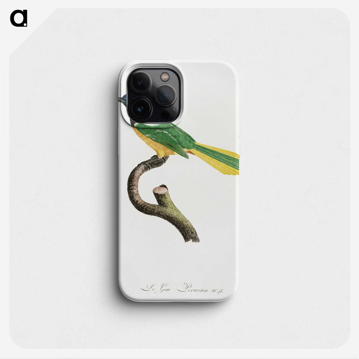 1-30_Des-Oiseaux-de-Paradis_phone