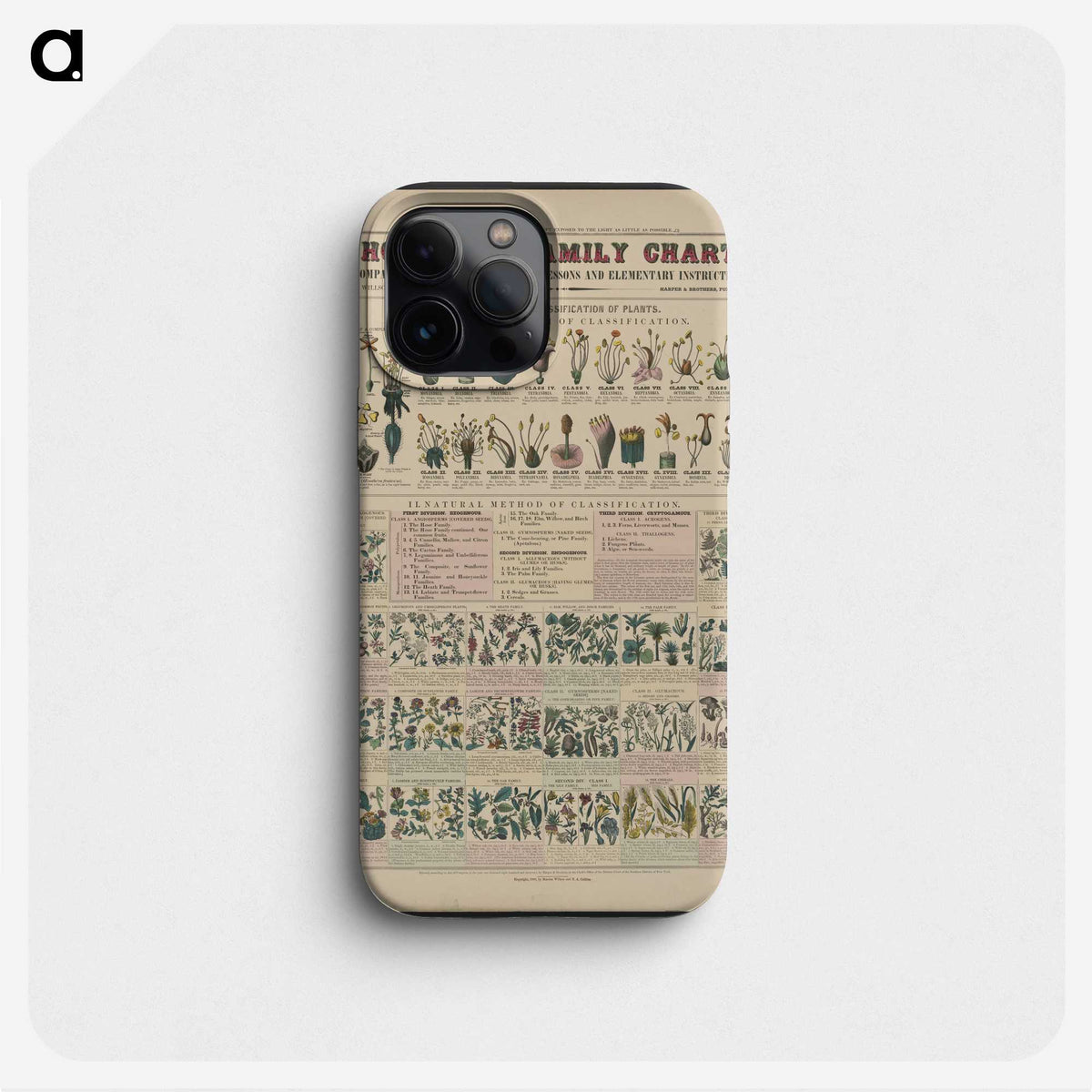 1-30_Education-Charts_phone