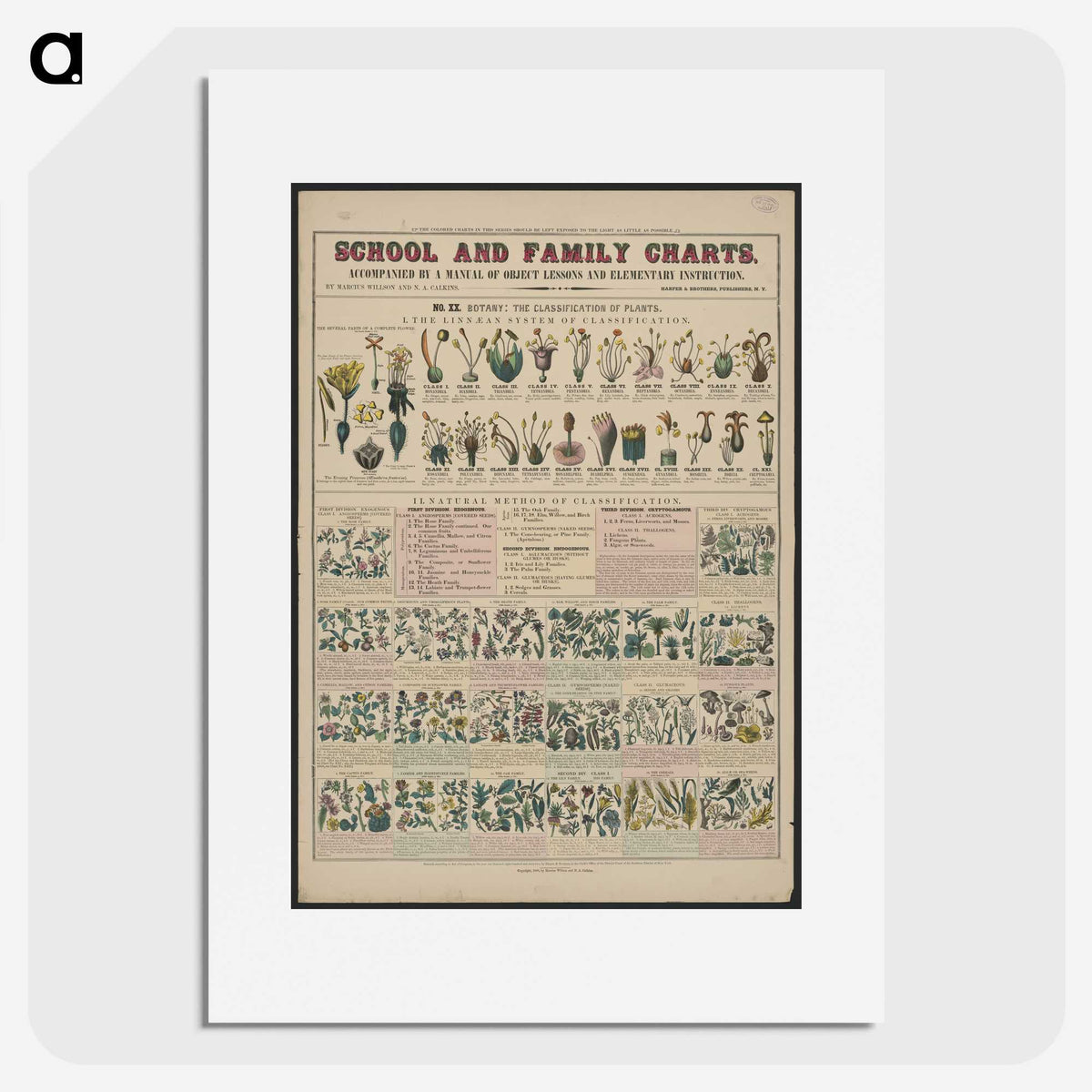 1-30_Education-Charts_picture