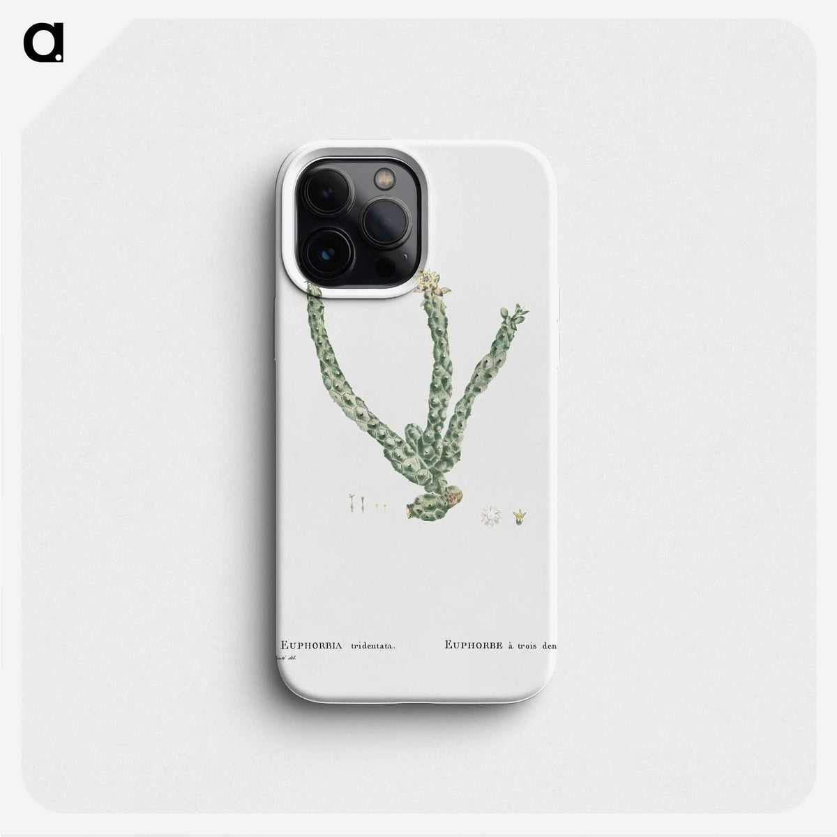 1-30_Histoire-des-Plantes-Grasses_phone