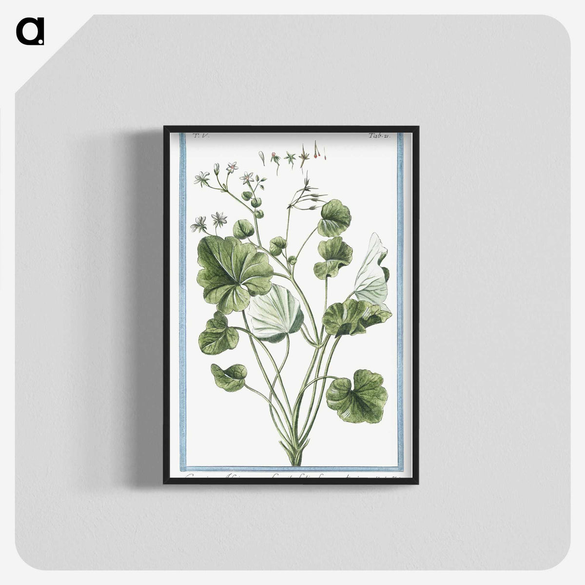 1-30_Hortus-Romanus-Botanical-Plates_blk-crop