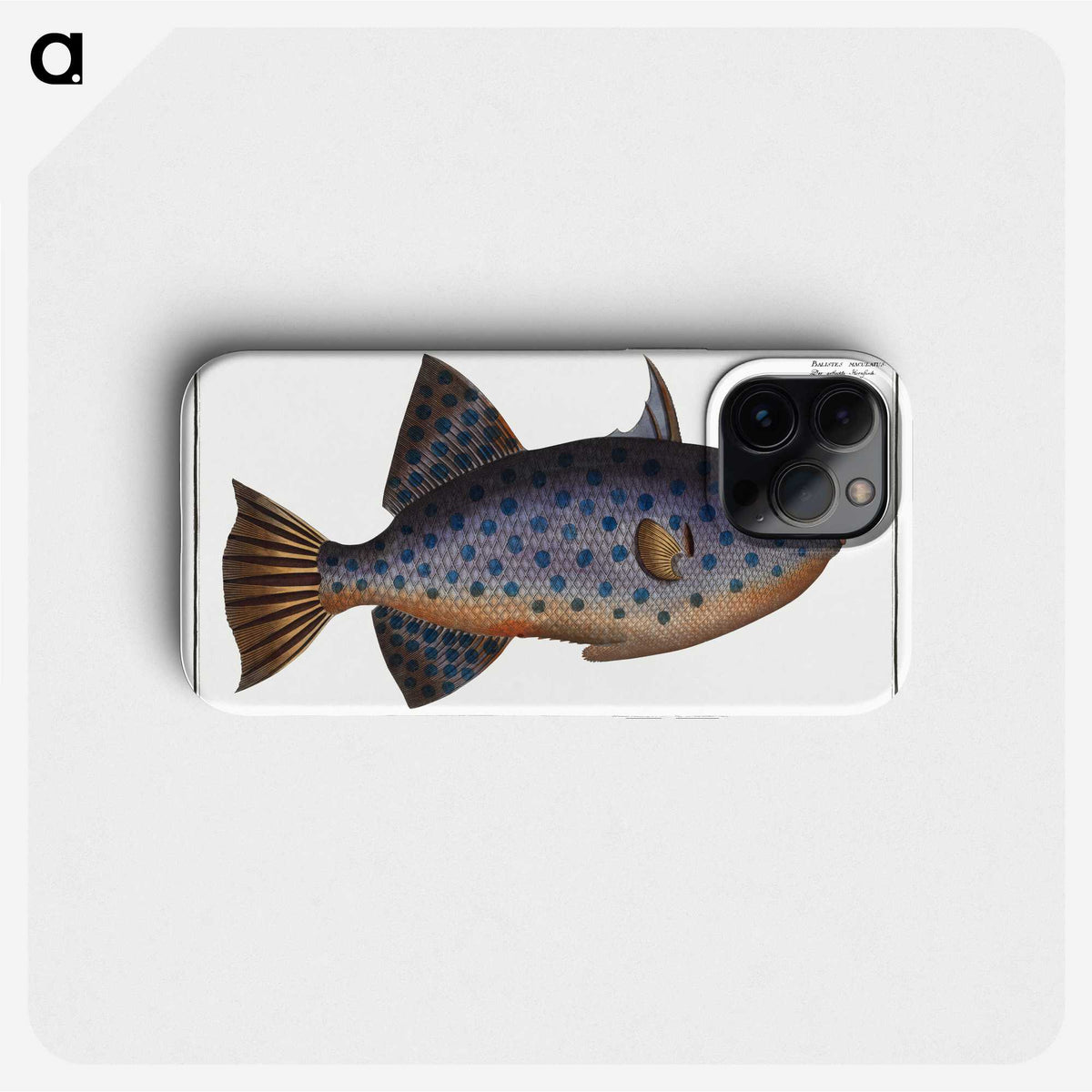 1-30_Ichtyologie-ou-Histoire-naturelle_phone