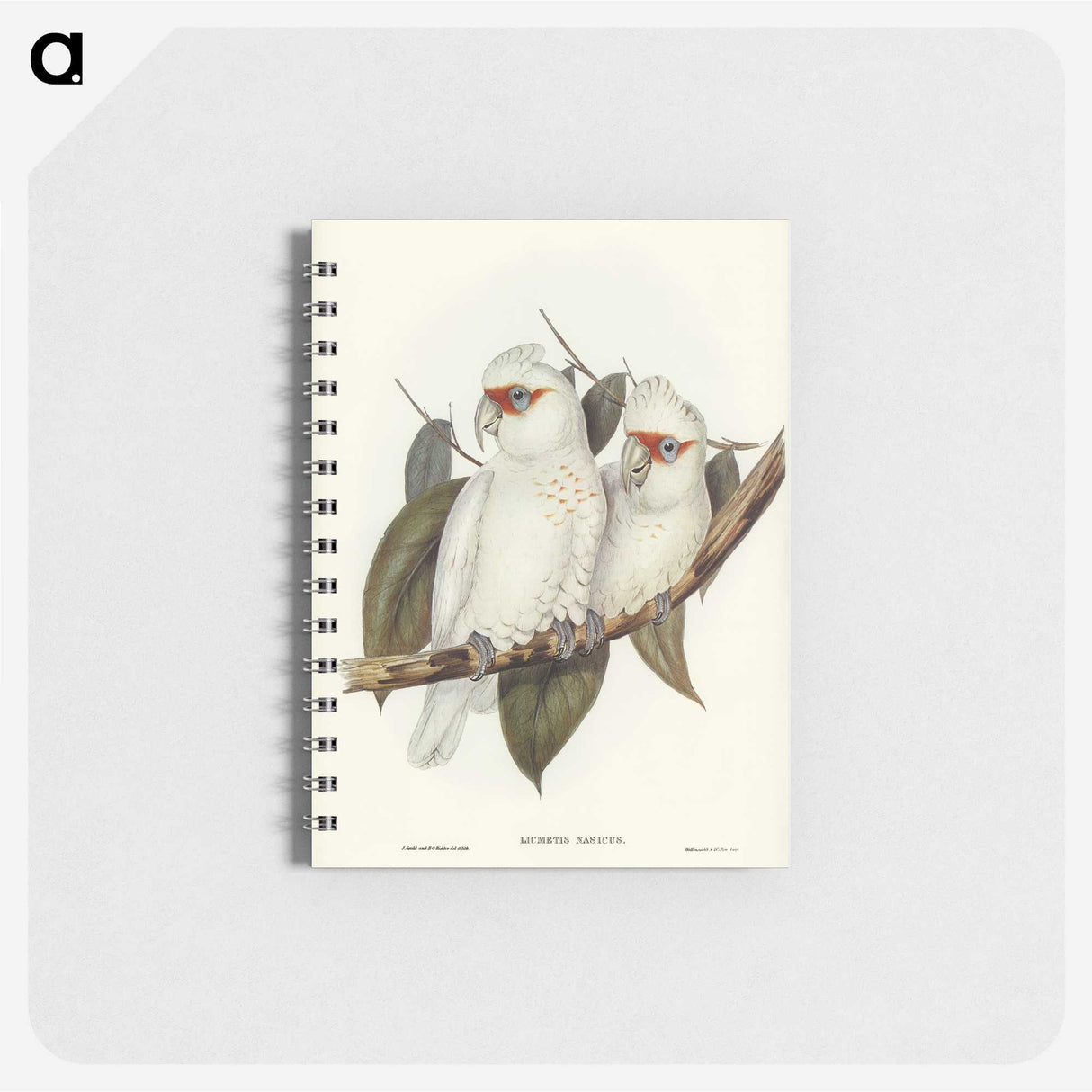 1-30_John-Gould_memo