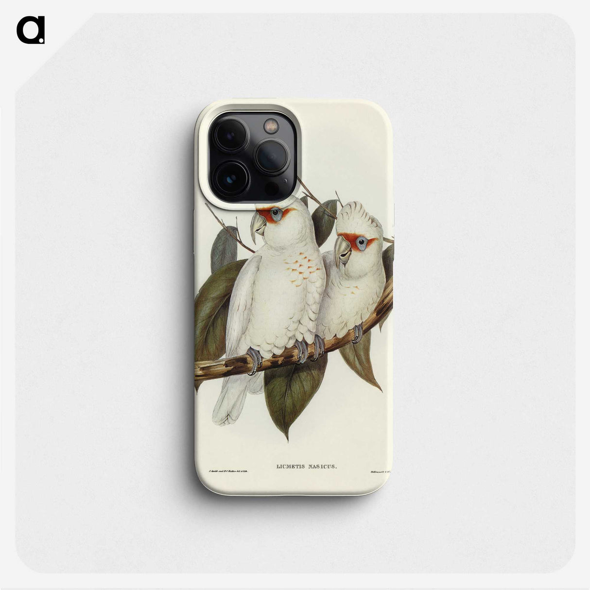 1-30_John-Gould_phone