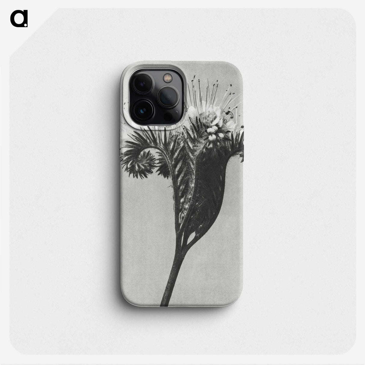 1-30_Karl-Blossfeldt_phone