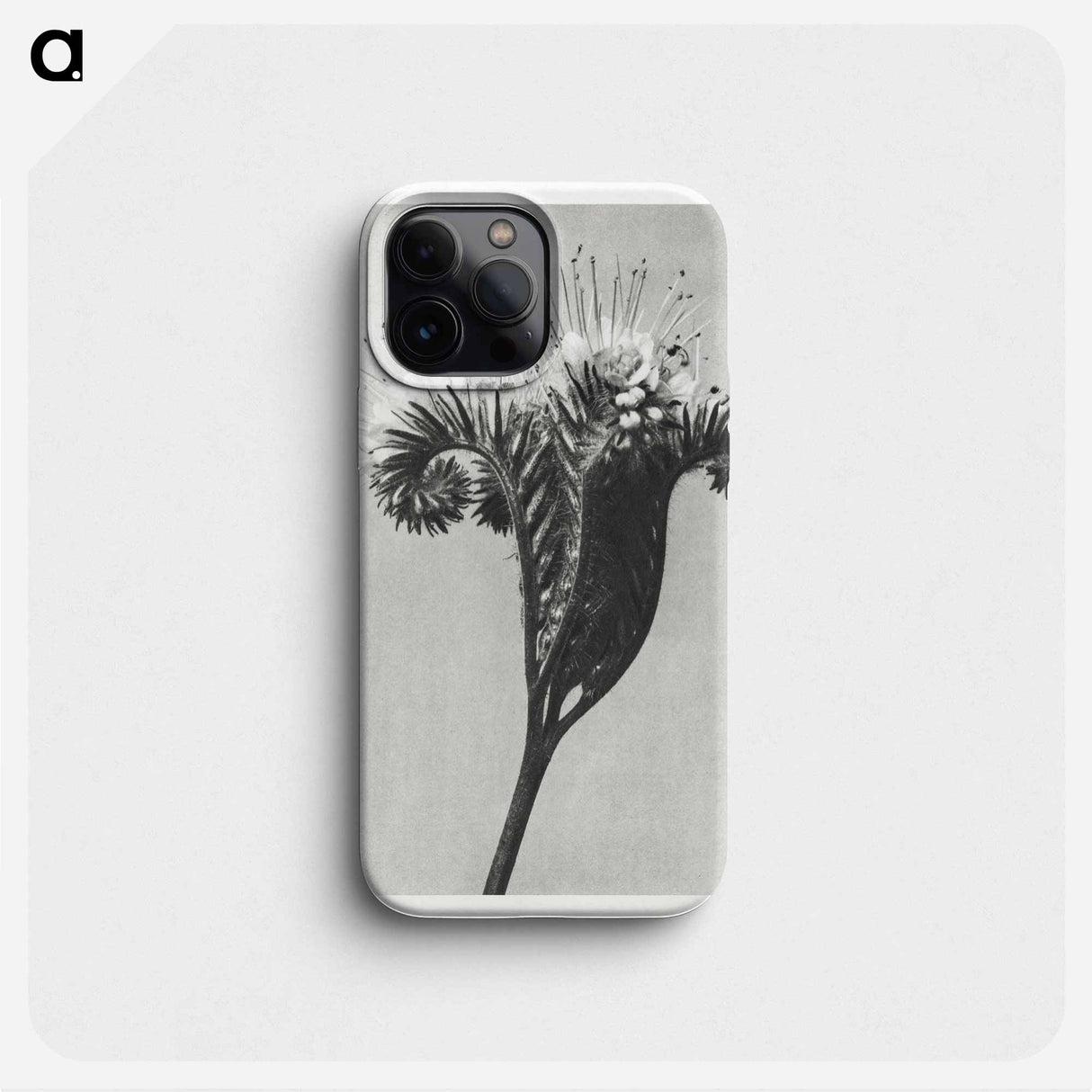 Phacelia tanacetifolia - カール ブロスフェルト Phone Case.