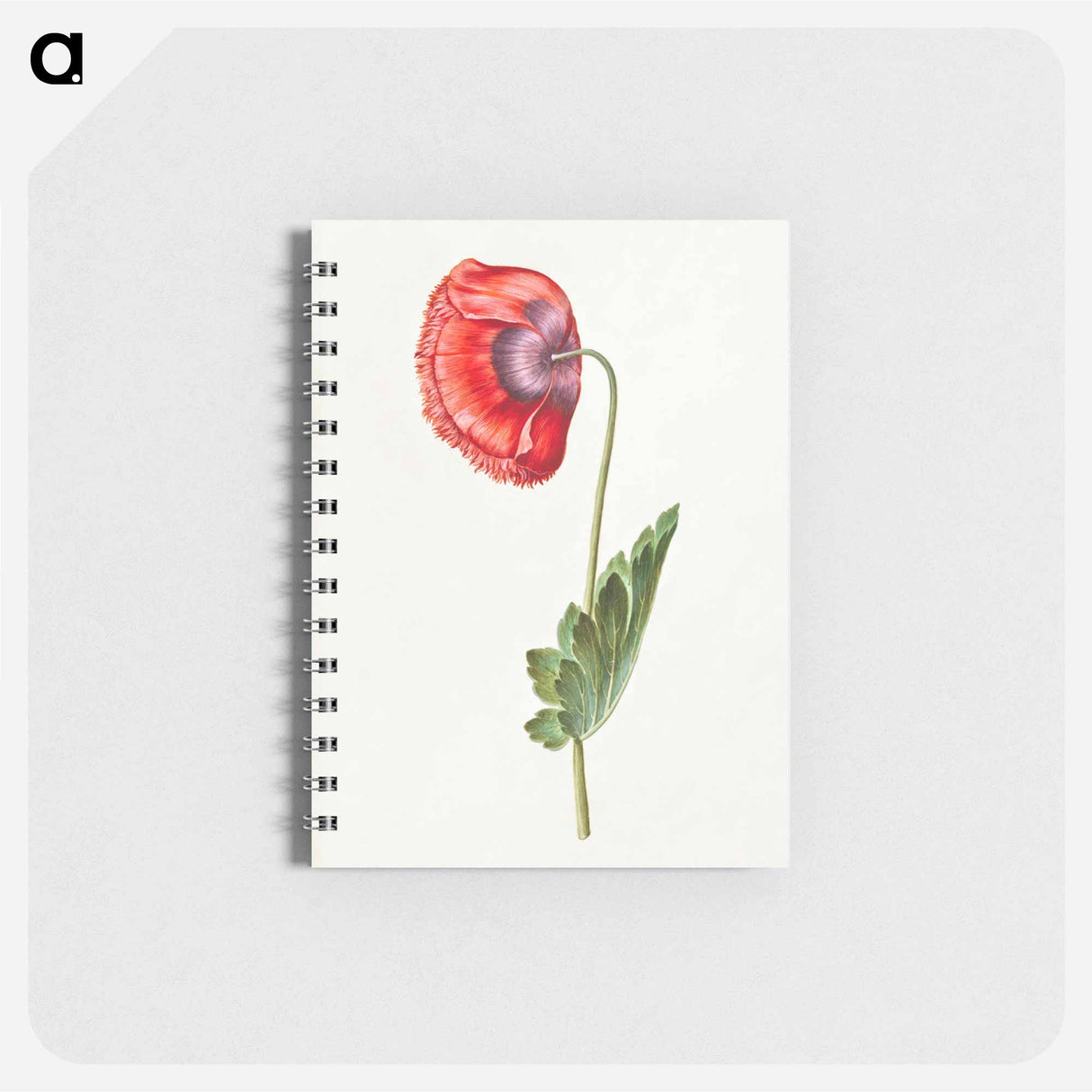 アートメモ帳-Papaver somniferum
- マリア ジビーラ メーリアン Memo.