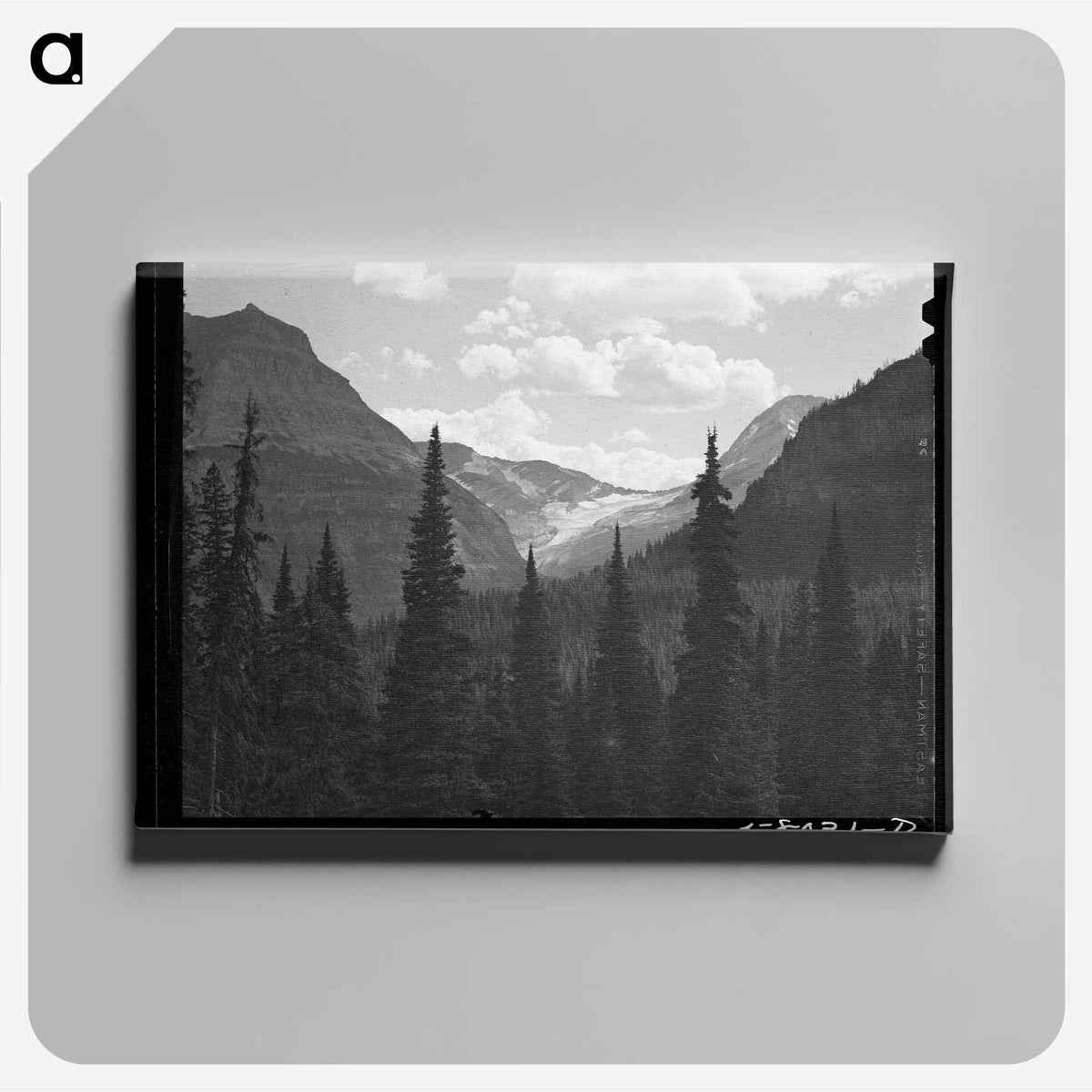 1-30_Marion-Post-Wolcott_canvas