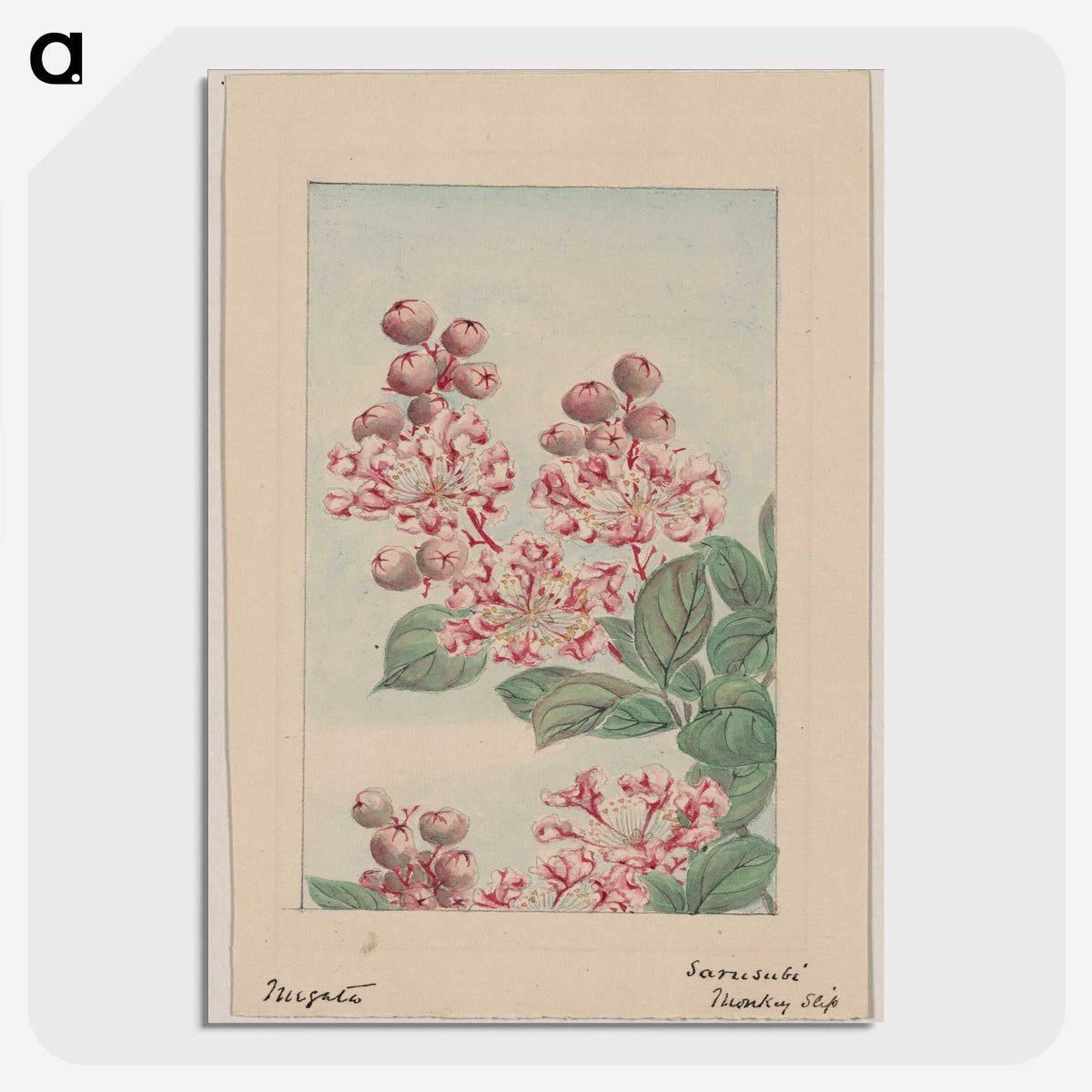 1-30_Megata-Morikaga_picture-crop