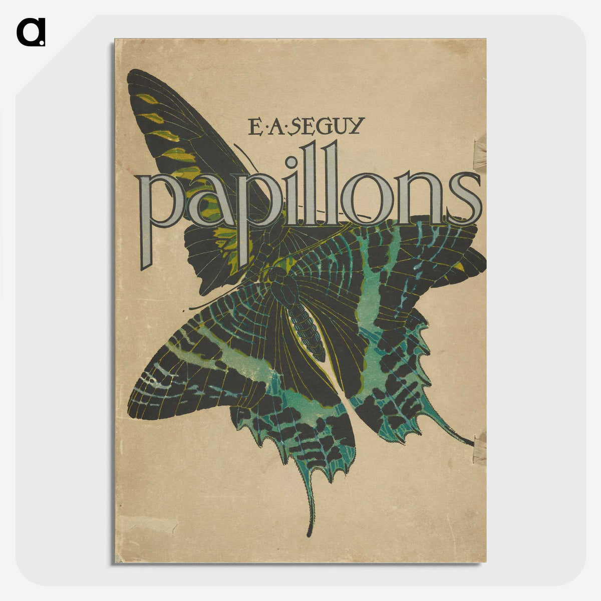 1-30_Papillons_picture-crop
