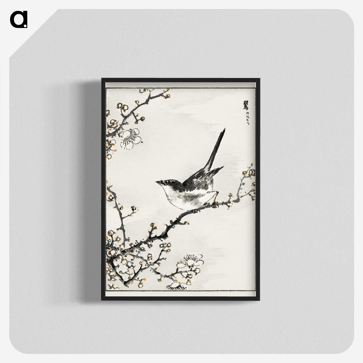 1-30_Pictorial-Monograph-of-Birds_blk-crop