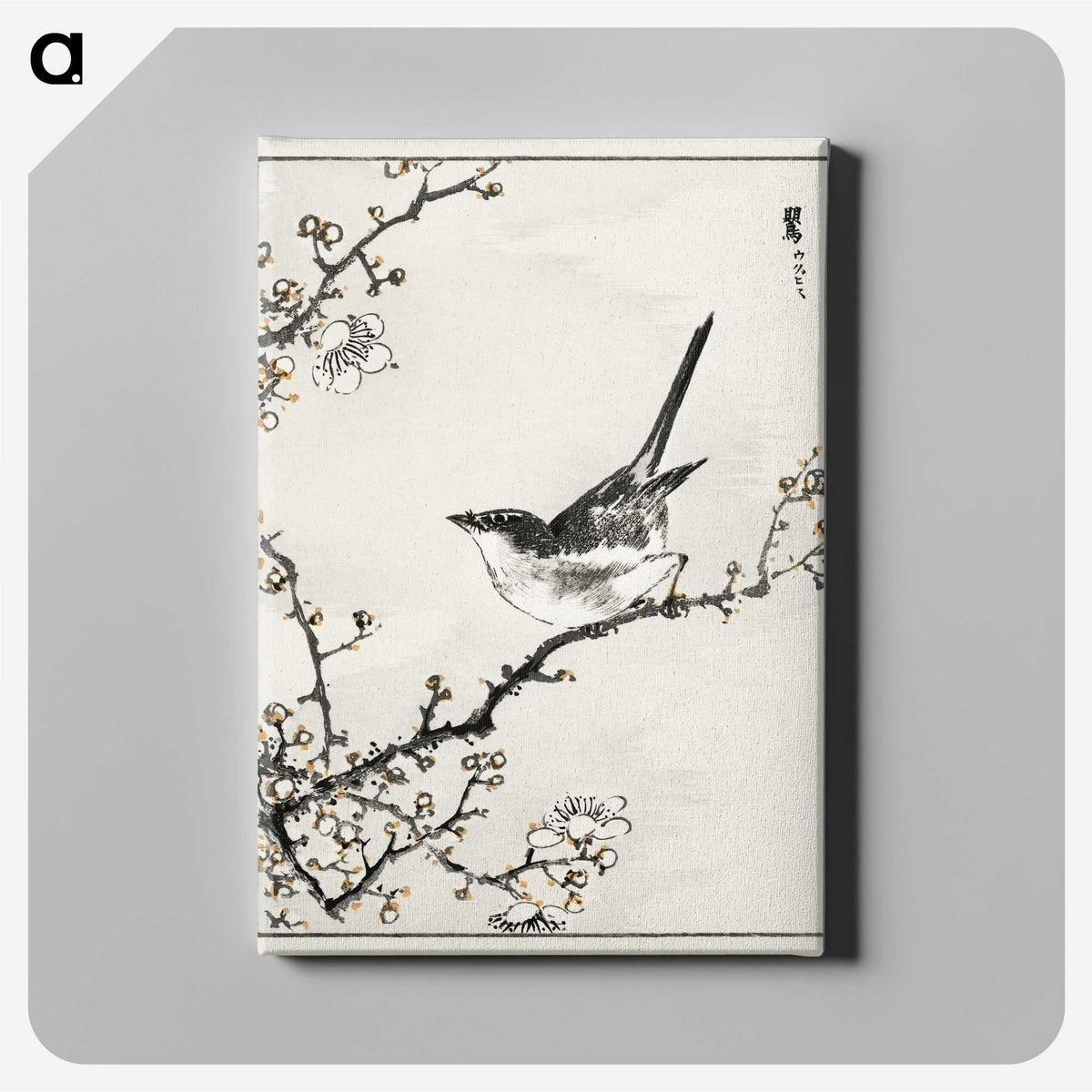 1-30_Pictorial-Monograph-of-Birds_canvas