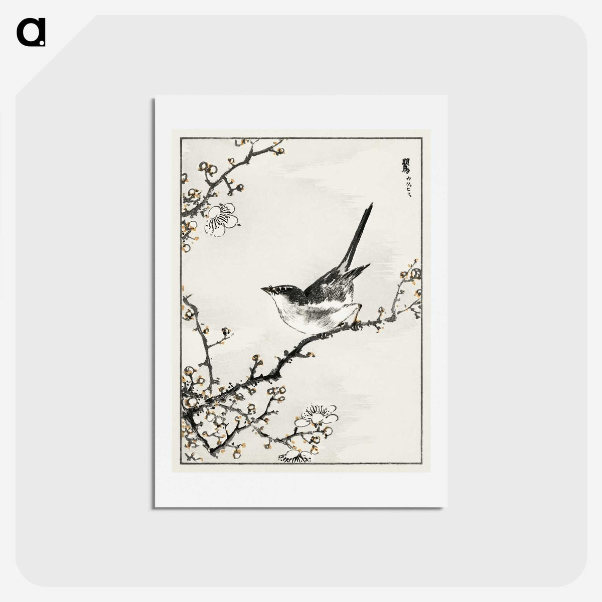 1-30_Pictorial-Monograph-of-Birds_hagaki