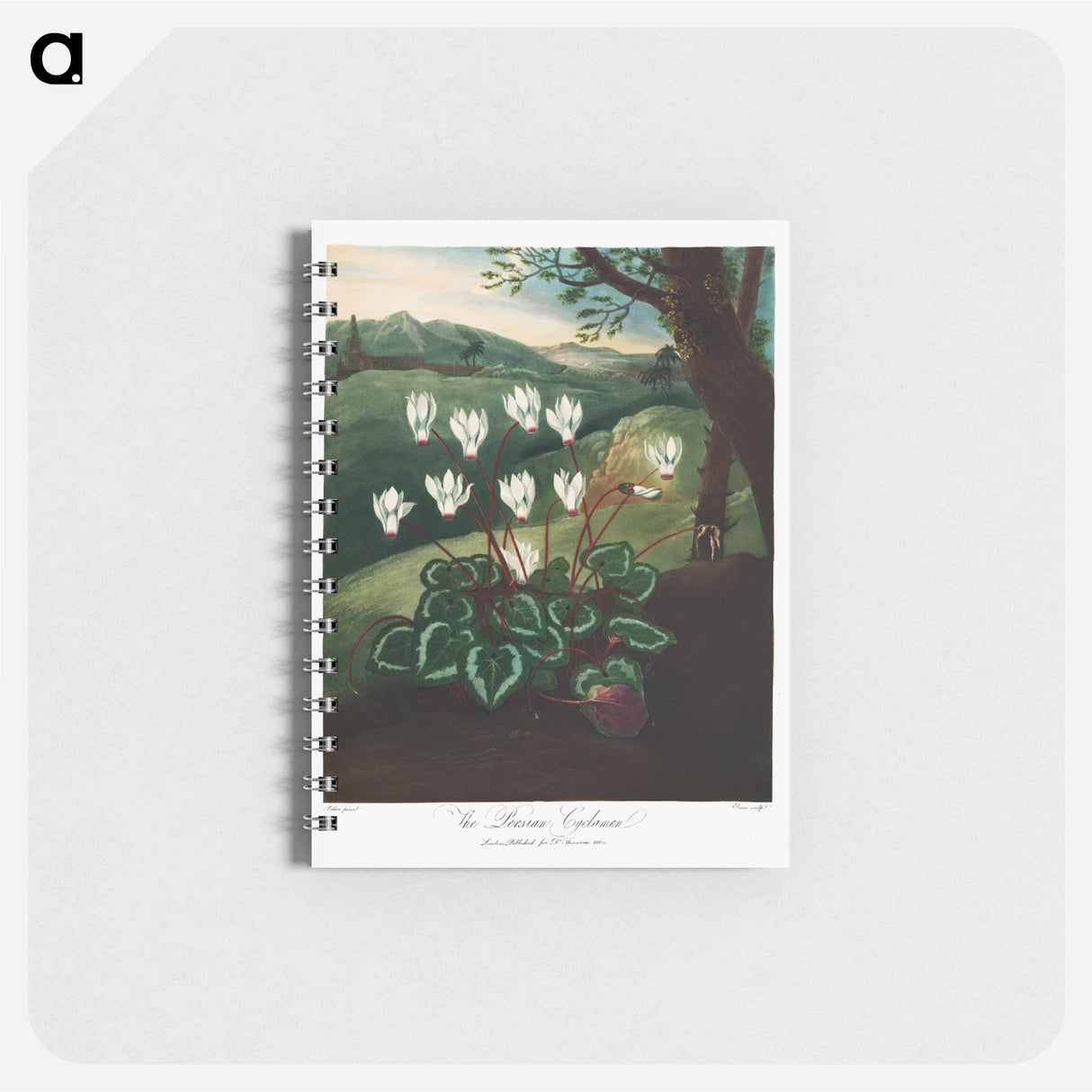 アートメモ帳-Persian Cyclamen
- ロバート ジョン ソーントン Memo.