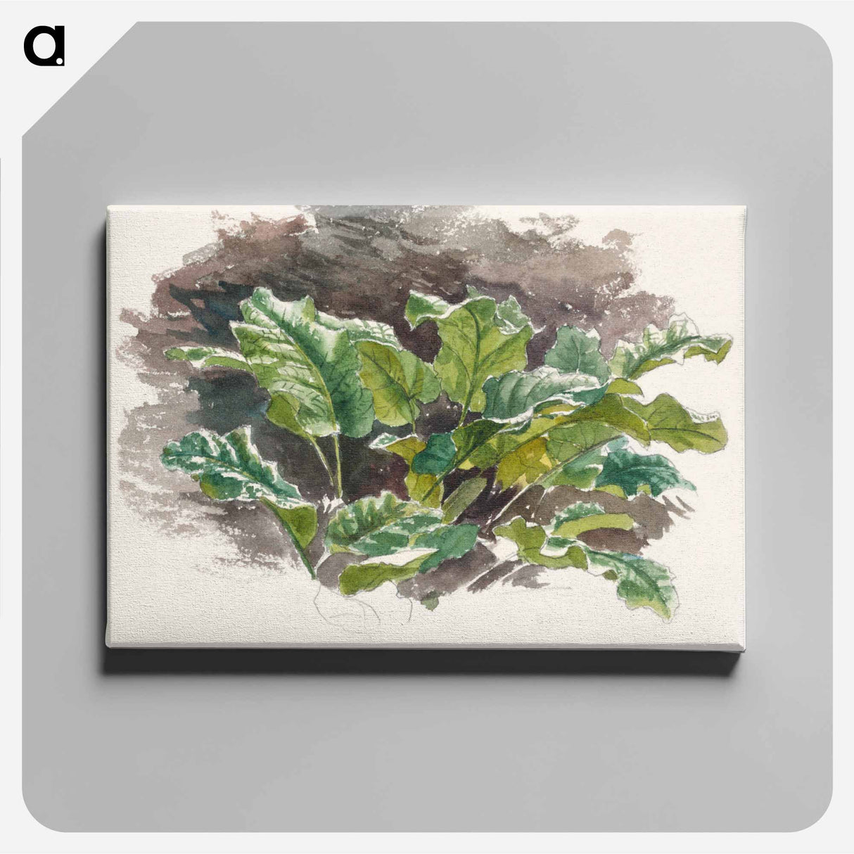 アートパネル-Botanical Study - サミュエル コールマン Canvas.