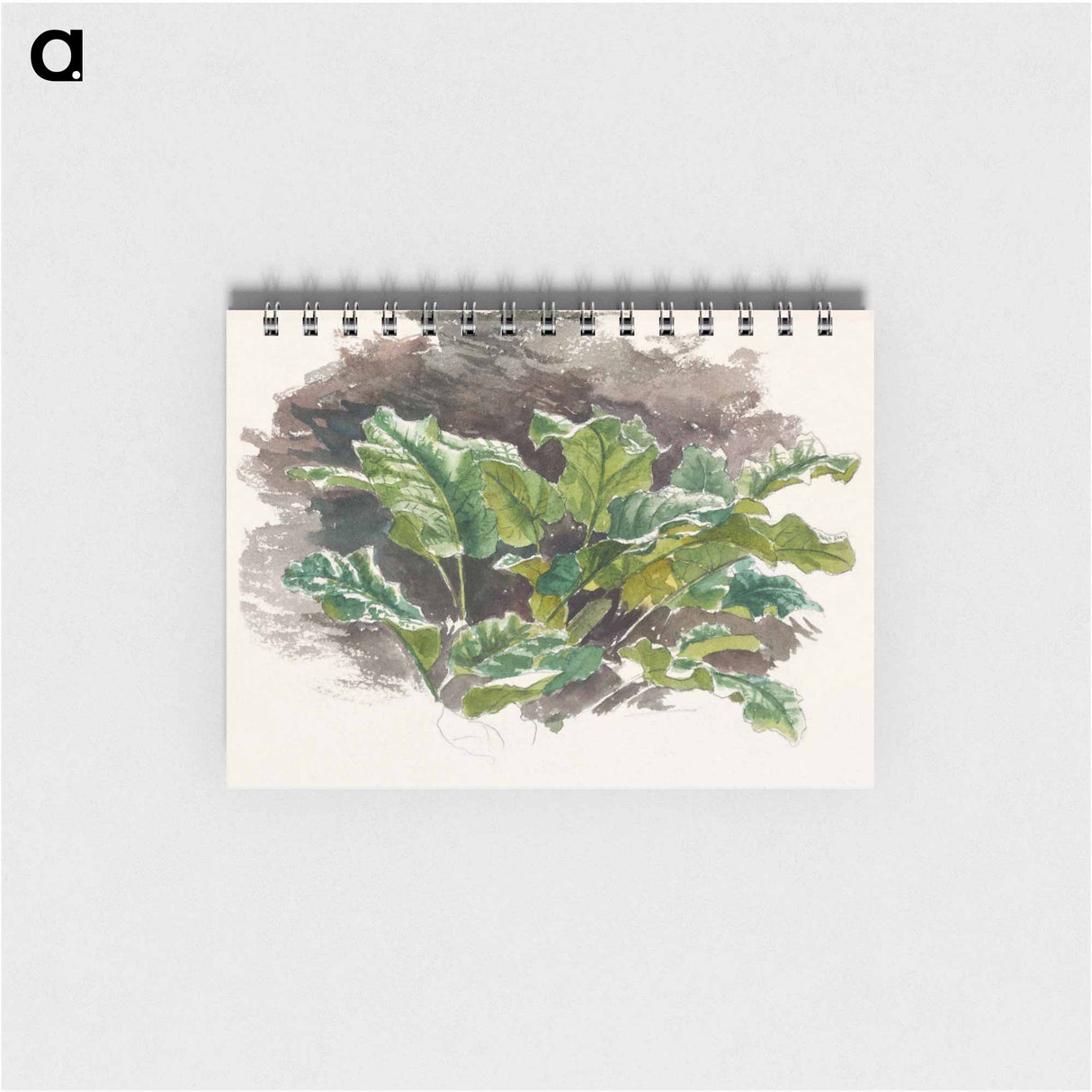アートメモ帳-Botanical Study - サミュエル コールマン Memo.